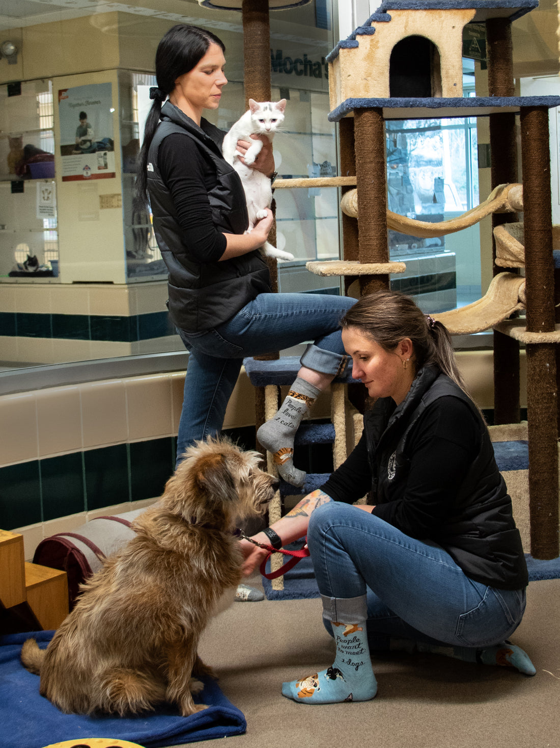 People To Meet: Dogs - Women&